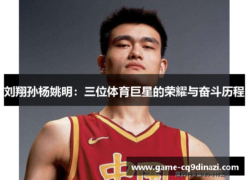 刘翔孙杨姚明：三位体育巨星的荣耀与奋斗历程