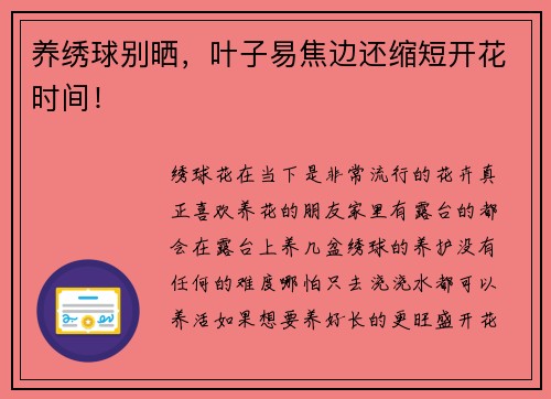 养绣球别晒，叶子易焦边还缩短开花时间！