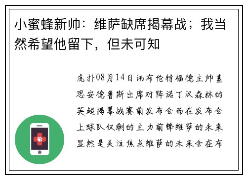 小蜜蜂新帅：维萨缺席揭幕战；我当然希望他留下，但未可知